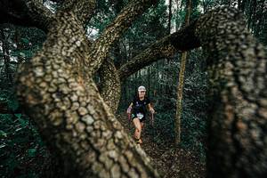 BIB: 
                            <button type="button" onclick="openModal(25393380)" class="btn btn-primary btn-sm float-right btn-popup" data-toggle="modal" data-target=".modal-high-quality">
                        <i class="fas fa-shopping-cart"></i> Add to Cart
                    </button>
                                            <button type="button" onclick="isThisMe(25393380, true)" class="btn btn-success btn-sm float-right btn-popup btn-isme hidden" data-toggle="tooltip" data-placement="bottom" title="นี่คือรูปของคุณใช่ไหม คลิกที่นี่เพื่อเอาเข้าอัลบั้ม">
                        <i class="fas fa-plus"></i> Add to album
                    </button>
                    <button type="button" onclick="isThisMe(25393380, false)" class="btn btn-warning btn-sm float-right btn-popup btn-isnotme hidden">
                        <i class="fas fa-ban"></i> Remove from album
                    </button>